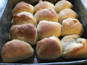 dinnerrolls